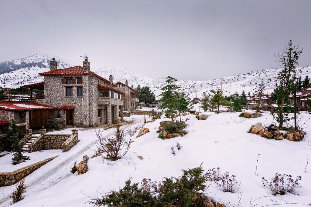 Monte Bianco Villas Arachova Eksteriør billede
